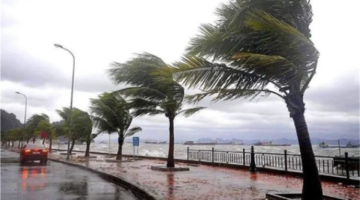 حالة الطقس اليوم.. الأرصاد تُحذر من أمطار ورياح تضرب تلك المناطق